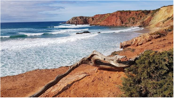 Praia do Amado